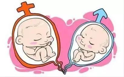 怀代生包成功借卵生子